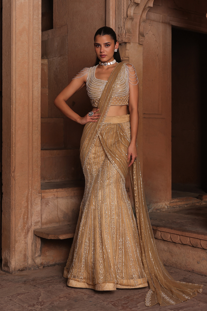 Golden fish draped saree