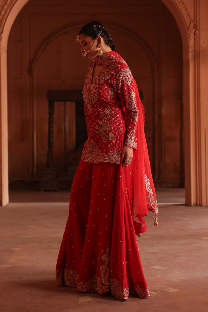 Milan sharara suit