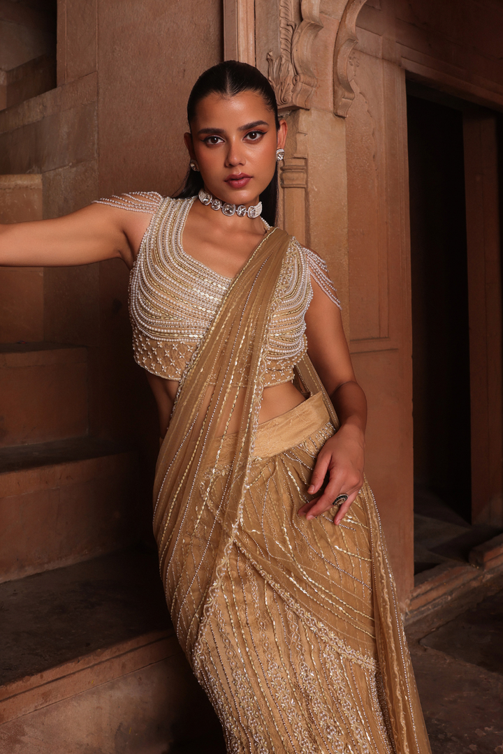 Golden fish draped saree